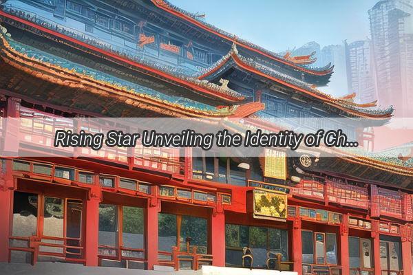 Rising Star Unveiling the Identity of Chinas Top Tennis Ace  Who Is the New Face of Womens Singles PS